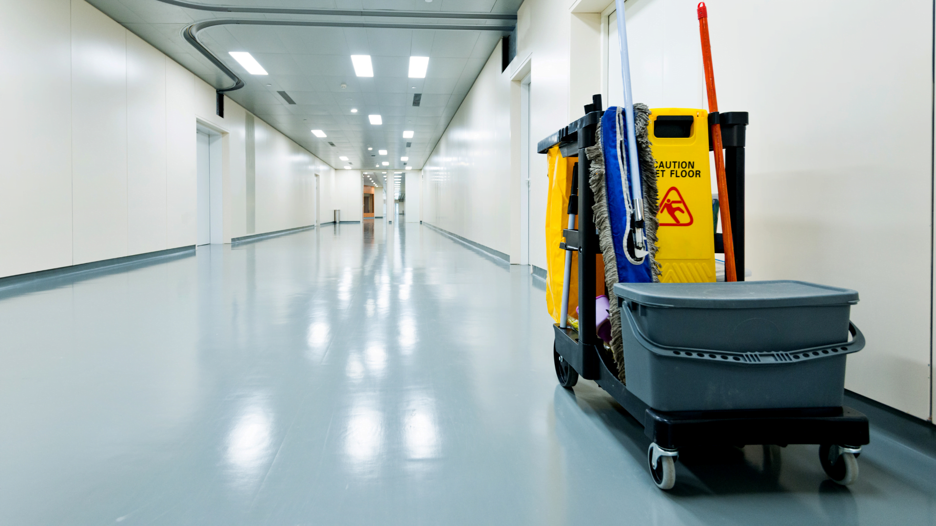Limpeza Hospitalar