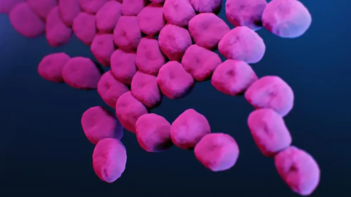 Acinetobacter