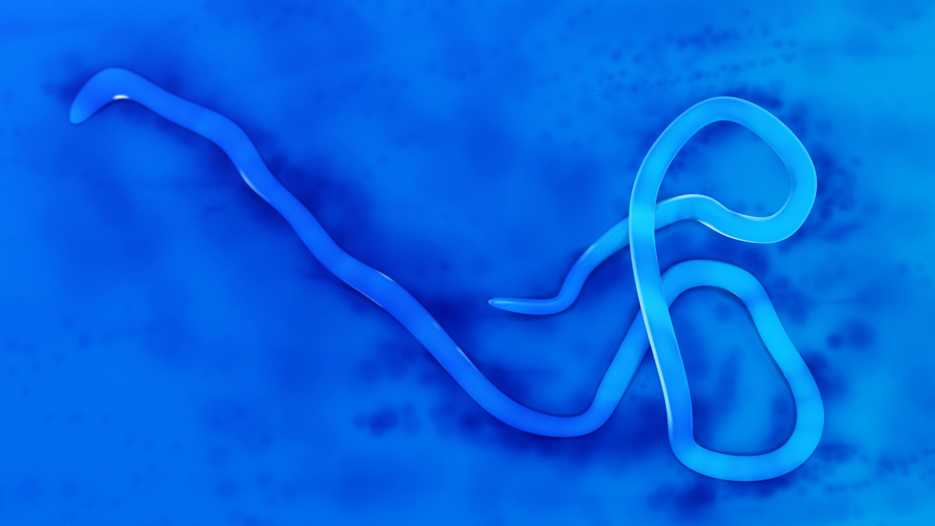 Ebola