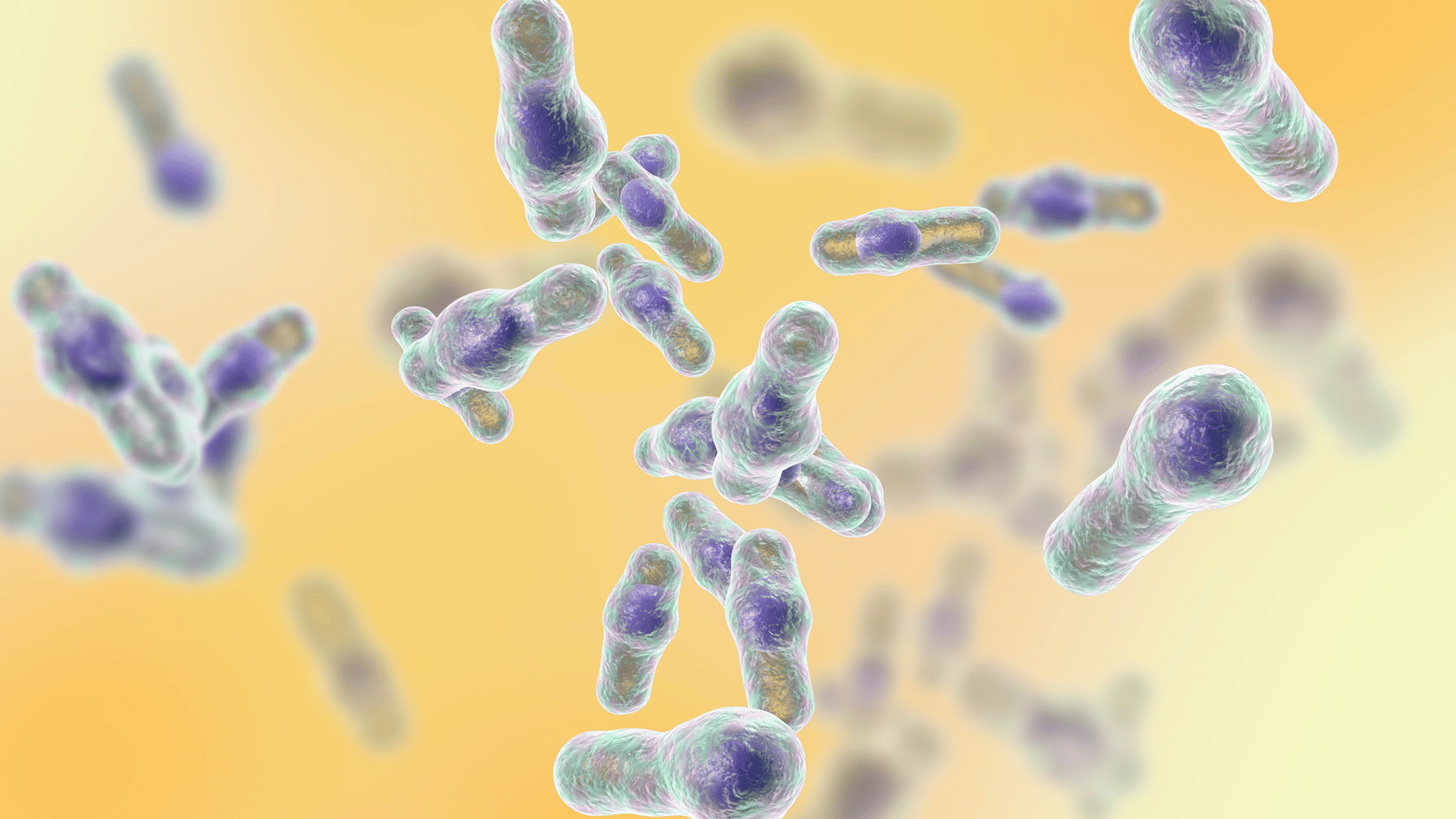 Clostridioides difficile